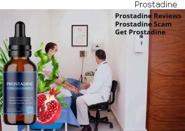 Prostadine The Prostate